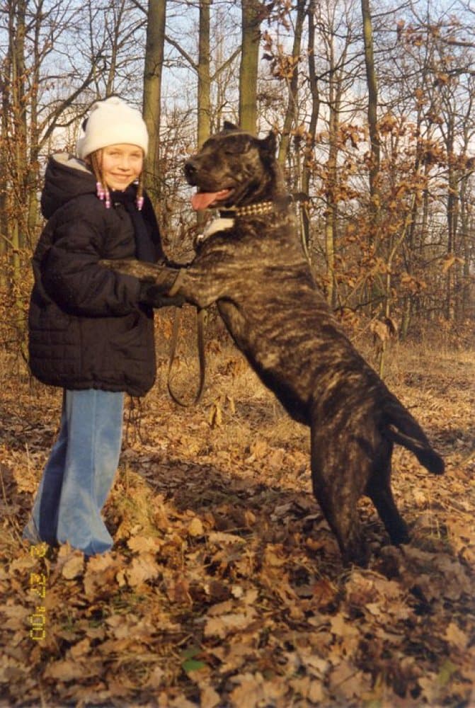 Esa de Irema Curtó
