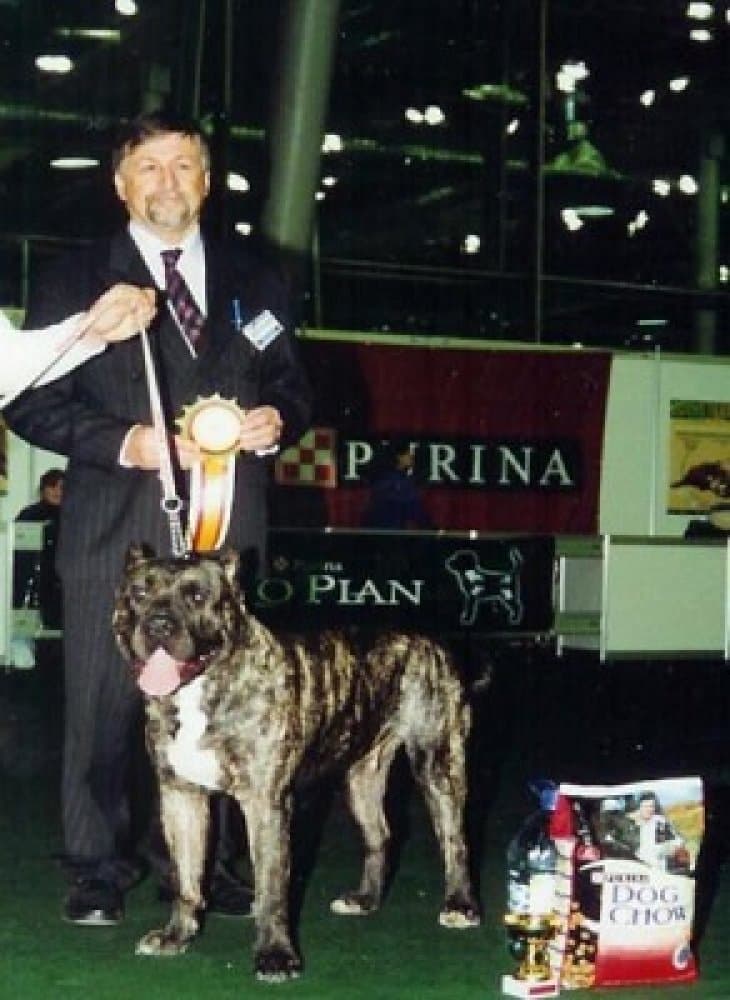 FARUK I DE IREMA CURTO