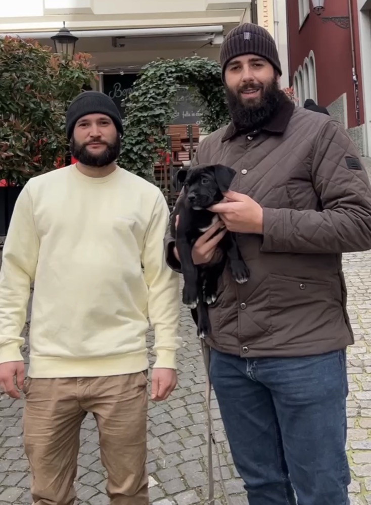 Cliente de Irema Curtó con su Perro de Presa Canario